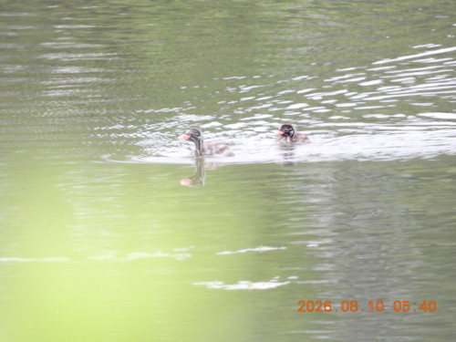 DSCN5036.JPG