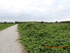 DSCN5037.JPG