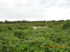 DSCN5038.JPG