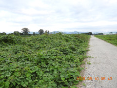 DSCN5039.JPG