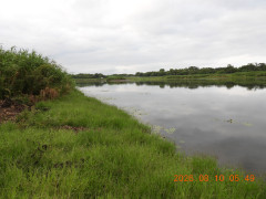 DSCN5043.JPG