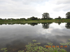 DSCN5044.JPG