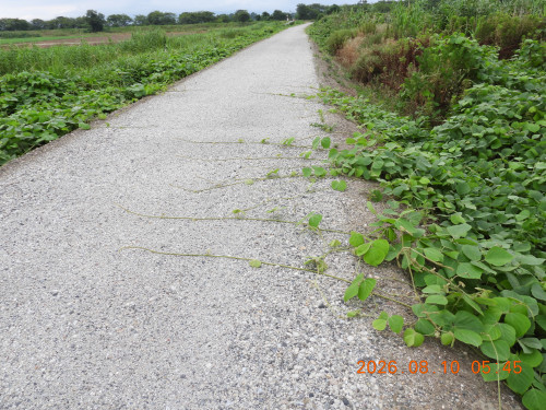 DSCN5042.JPG