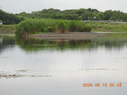 DSCN5046.JPG