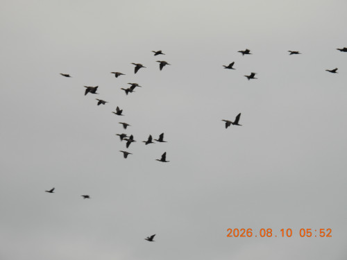 DSCN5049.JPG
