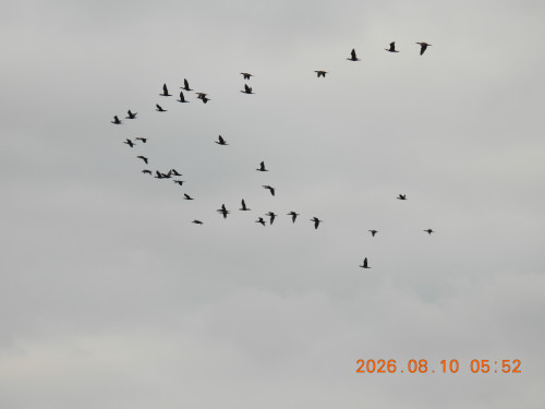 DSCN5050.JPG