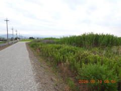 DSCN5051.JPG