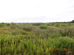 DSCN5052.JPG