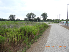 DSCN5053.JPG