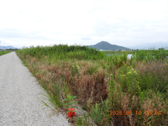 DSCN5055.JPG