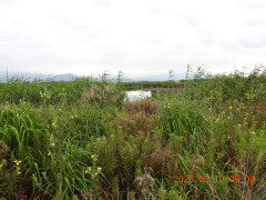 DSCN5056.JPG
