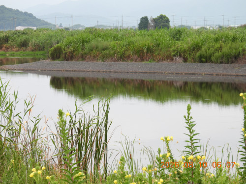 DSCN5059.JPG