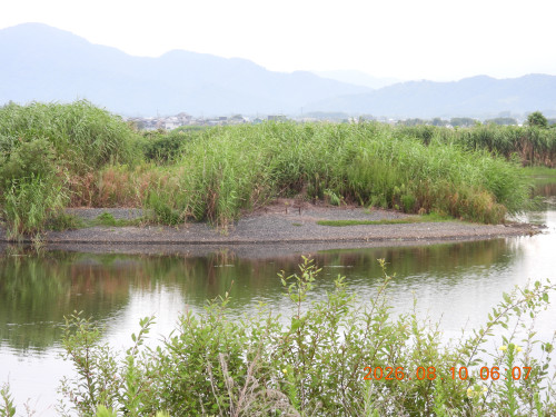 DSCN5060.JPG