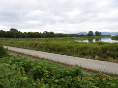 DSCN5064.JPG