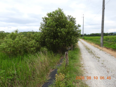 DSCN5079.JPG