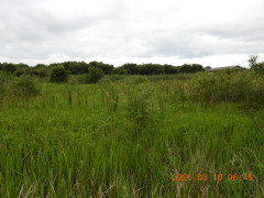 DSCN5078.JPG