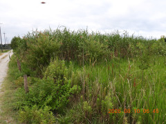 DSCN5077.JPG