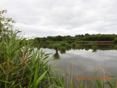 DSCN5070.JPG