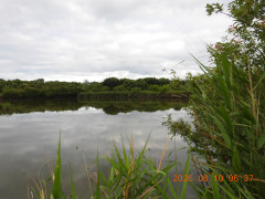 DSCN5071.JPG