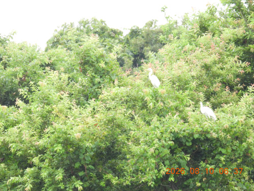 DSCN5072.JPG