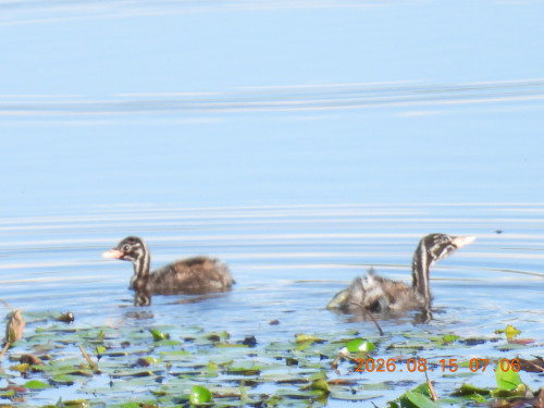 DSCN5137.JPG