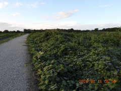 DSCN5082.JPG