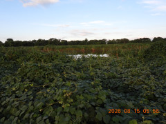 DSCN5083.JPG