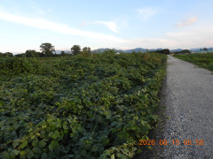 DSCN5084.JPG