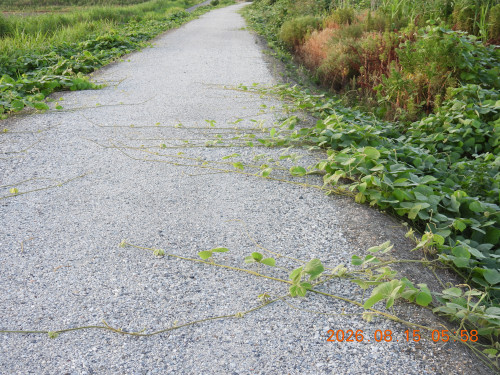 DSCN5085.JPG