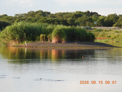 DSCN5089.JPG