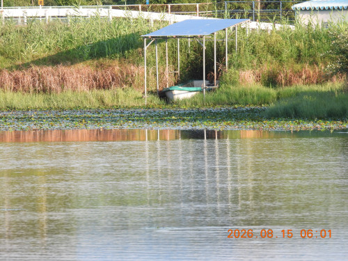 DSCN5090.JPG