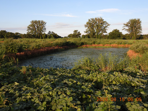 DSCN5092.JPG
