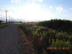 DSCN5093.JPG