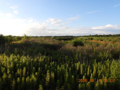 DSCN5094.JPG