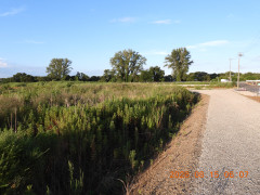DSCN5095.JPG
