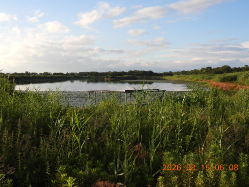 DSCN5096.JPG