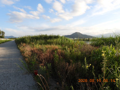 DSCN5097.JPG