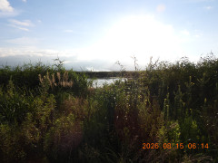 DSCN5098.JPG