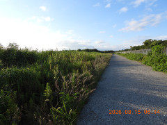 DSCN5099.JPG