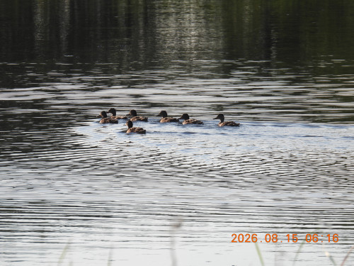 DSCN5100.JPG