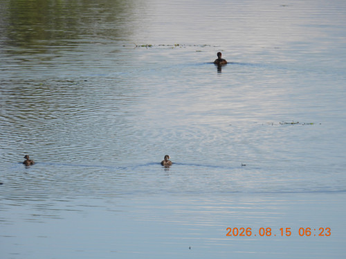 DSCN5105.JPG