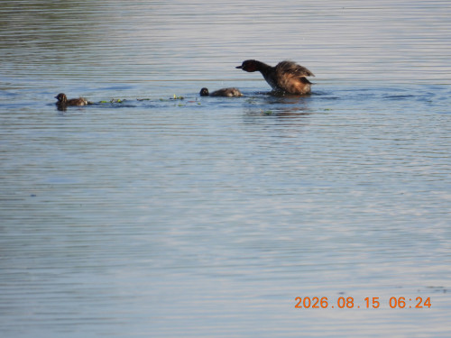 DSCN5107.JPG