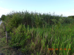 DSCN5115.JPG