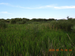 DSCN5116.JPG