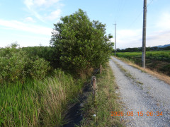 DSCN5117.JPG