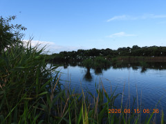 DSCN5118.JPG