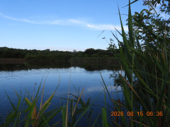 DSCN5119.JPG