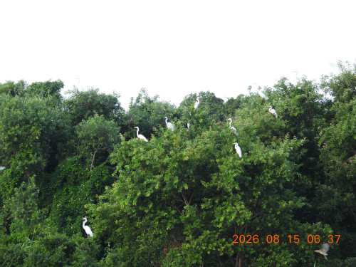 DSCN5123.JPG