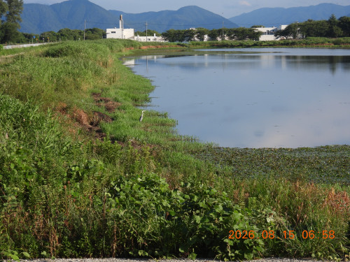 DSCN5126.JPG