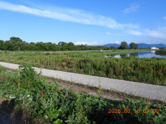 DSCN5127.JPG
